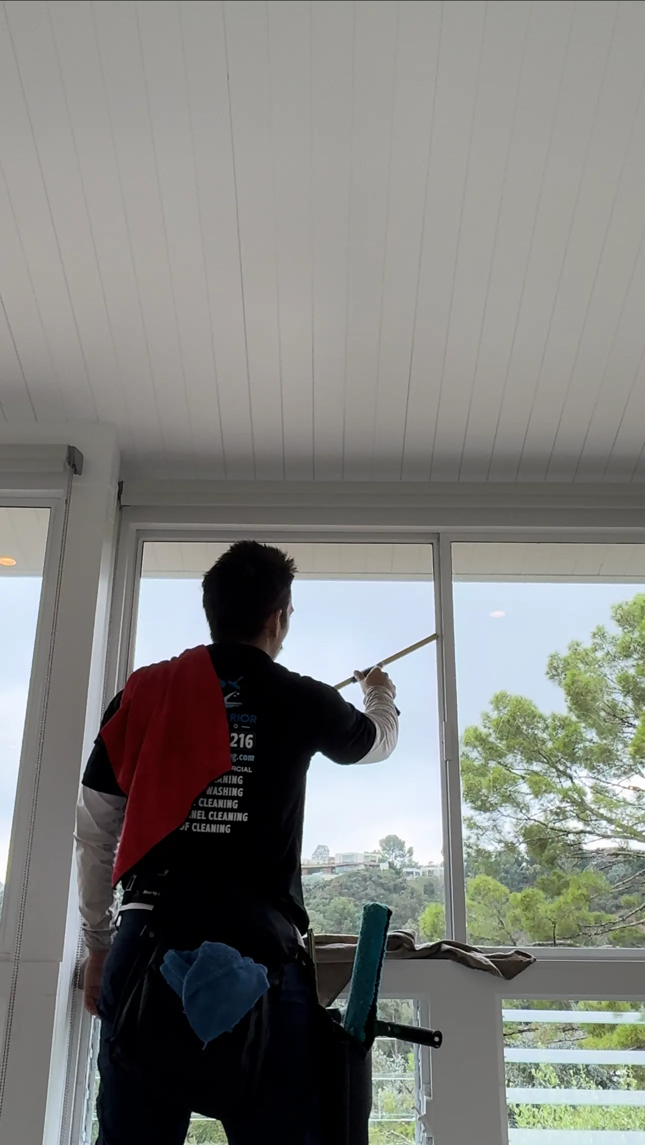 Window Washing Services