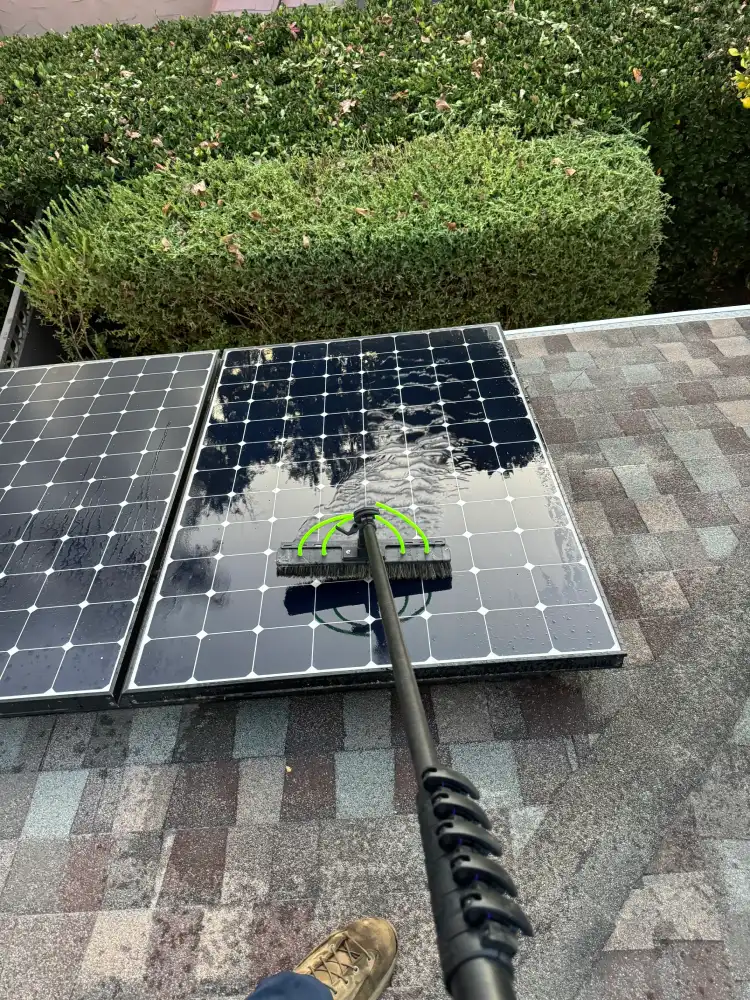 Solar Cleaning Services